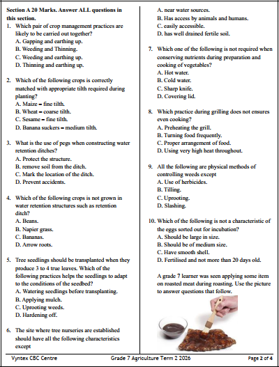 Exam Preview