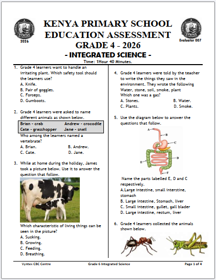 Exam Preview